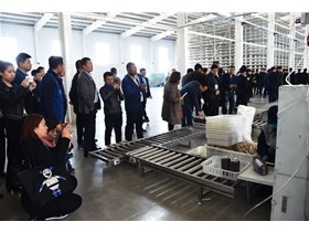 年可生产菌包6000万袋的黑木耳工厂化基地项目落户明水
